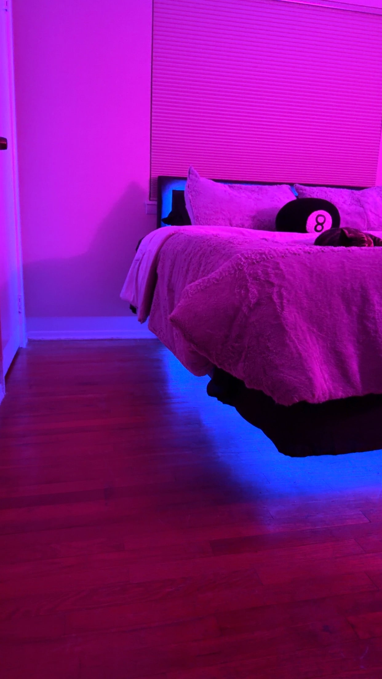 Elevated Floating LED Bed Frame